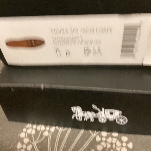 Coach Moira  SIG Jacquard LOAFER Sz 11M NIB - Picture 4 of 7